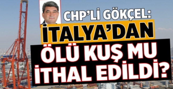 CHP Mersin Milletvekili Cengiz Gkel, Mersin ve skenderun limanlarna gelen plastik atk konteynerlerinde ku ls, ped ve bebek bezi olduu iddialarn Meclis gndemine tad. 