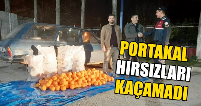 Mersin'de bir baheden 800 kilo portakal alan pheliler, devriye grevi yapan jandarma ekiplerinin dikkati sonucu yakaland.