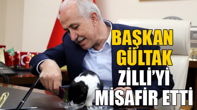 Akdeniz Belediye Bakan Mustafa Gltak, 17 ubat Dnya Kediler Gn dolaysyla, bir gz engelli, dier gz de ok az grebilen 'zilli' isimli kediyi belediyede misafir etti. 